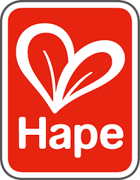 Guitarra Magic Touch - Hape 800893 - Imagen 8